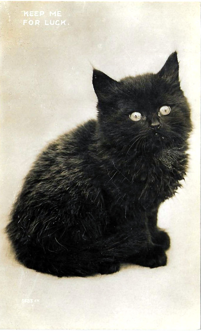 Diane Herridge 💜 tweet media