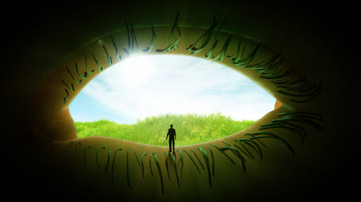 Lisa M Christie, PhD tweet media