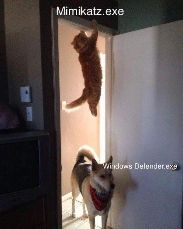 hackinarticles's tweet photo. Pic of the Day

#infosec #cybersecurity #cybersecuritytips #pentesting #cybersecurityawareness #informationsecurity https://t.co/hM4cwbidjx