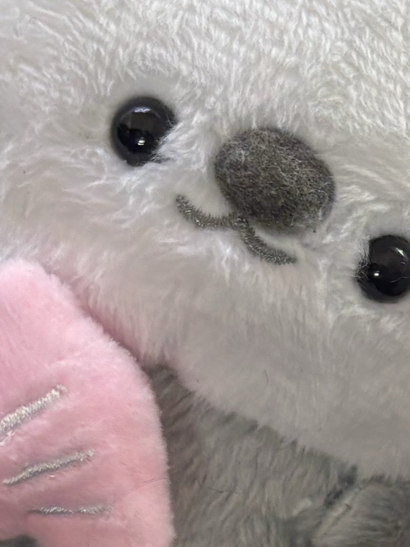 もなか (@monaka_muc) on Twitter photo 