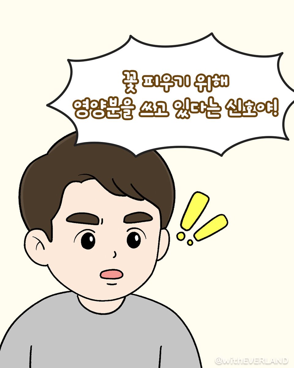 에버랜드 tweet media