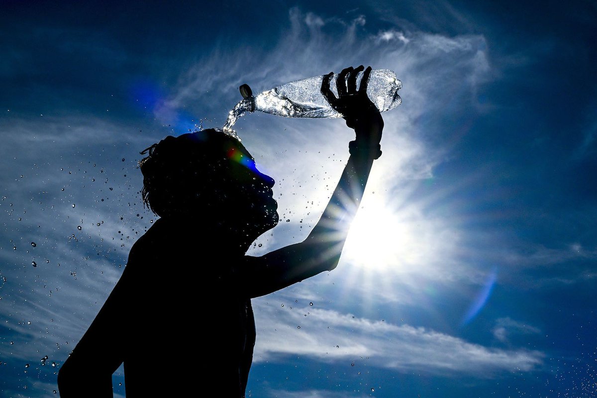 Solid Green tweet media