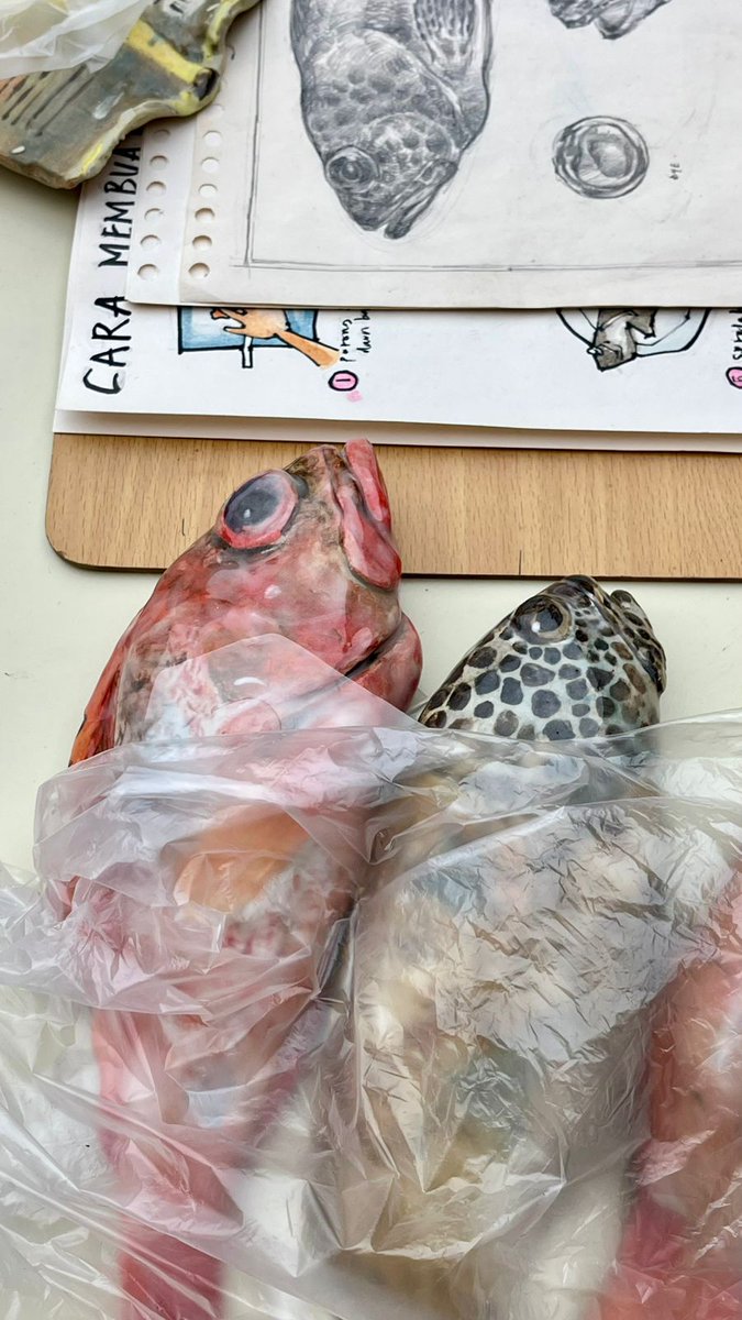 🍊 Didi pet commis open! tweet media