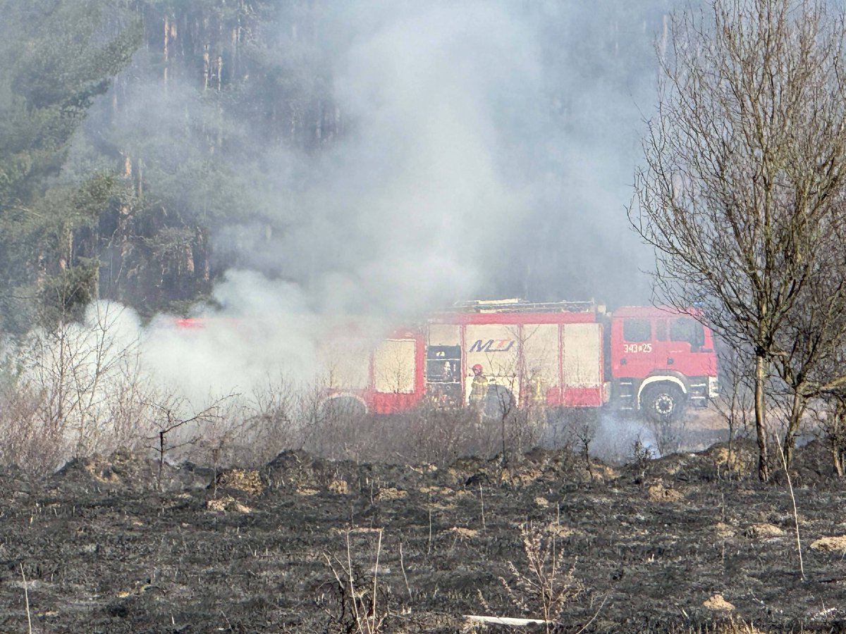 Państwowa Straż Pożarna tweet media