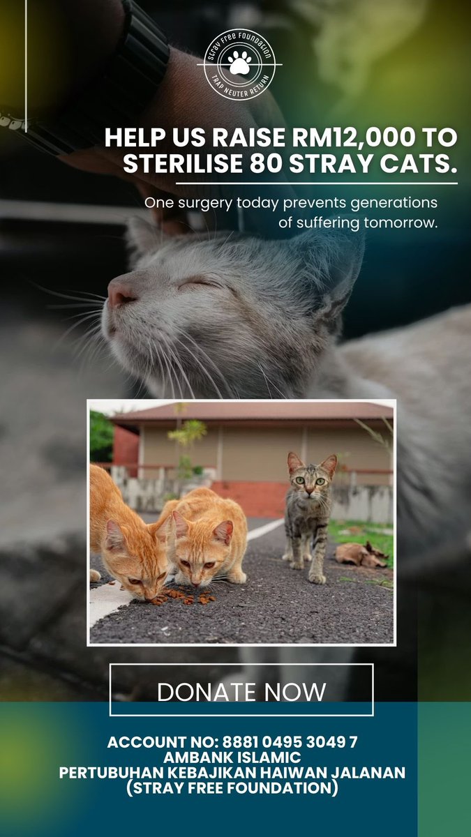 Spay/neuter saves countless strays from suffering. Fewer unwanted births mean fewer innocent deaths 💔

Please help by sharing/donating. RM12,000 is urgently needed 🙏🏻🥹