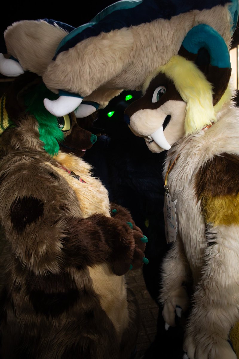 Chrissy 🦊 tweet media