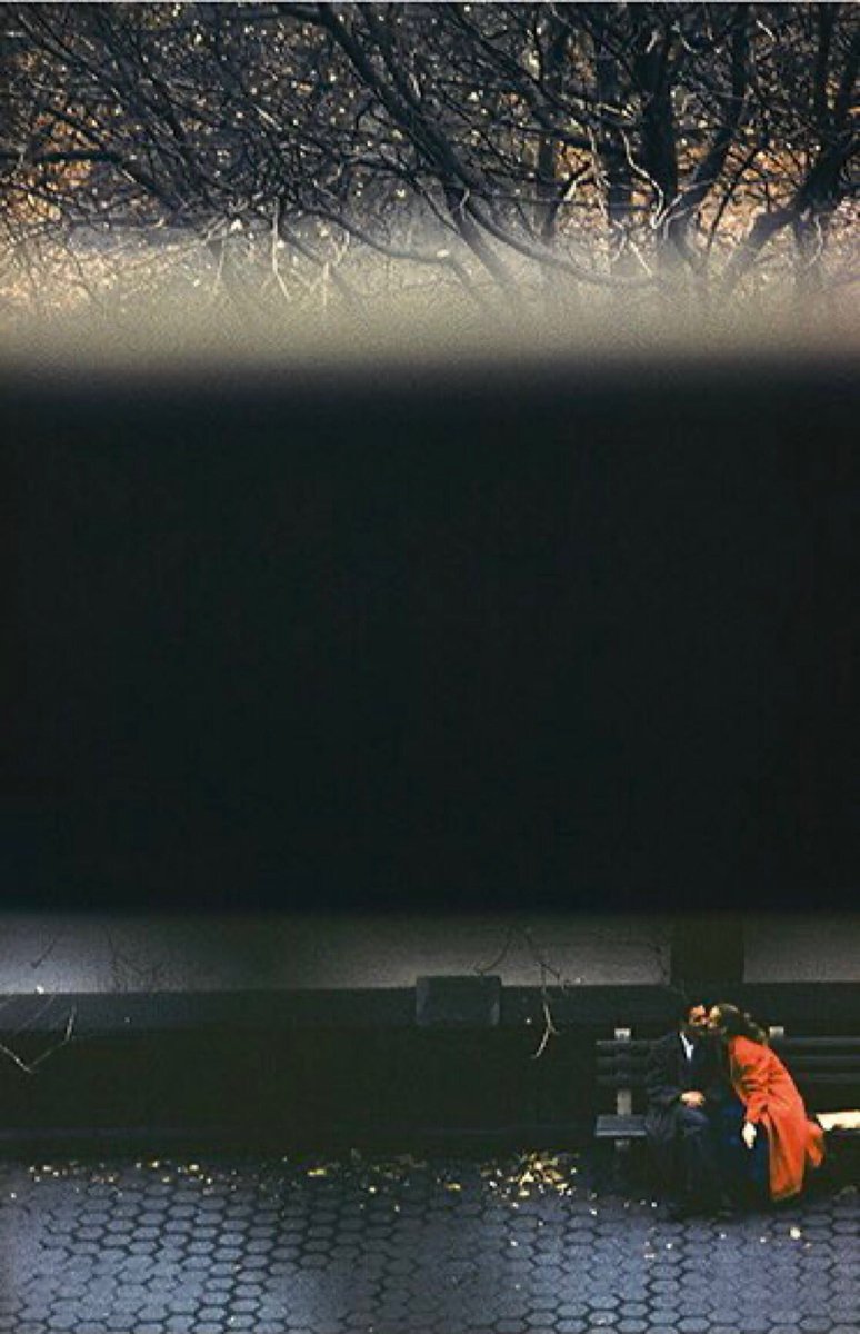 Ina de Bree tweet media