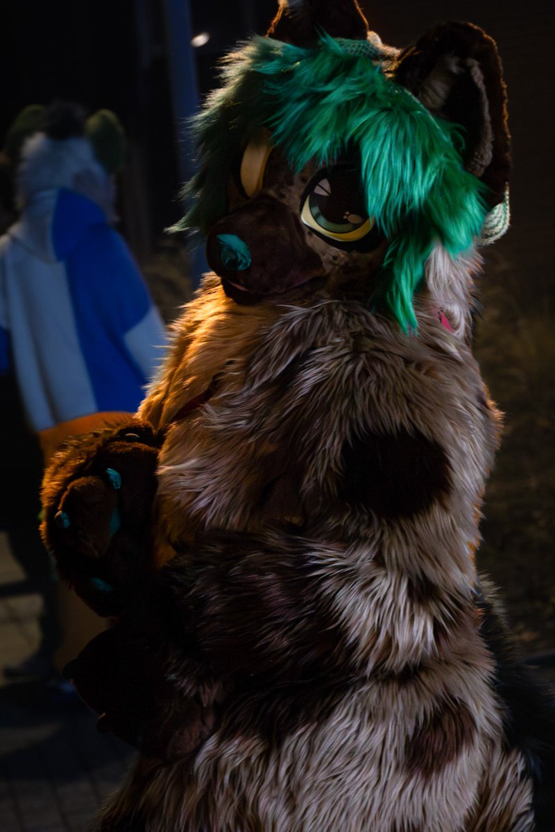 Chrissy 🦊 tweet media