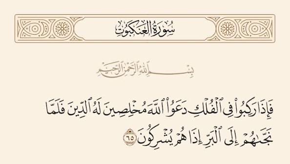 مشعل tweet media