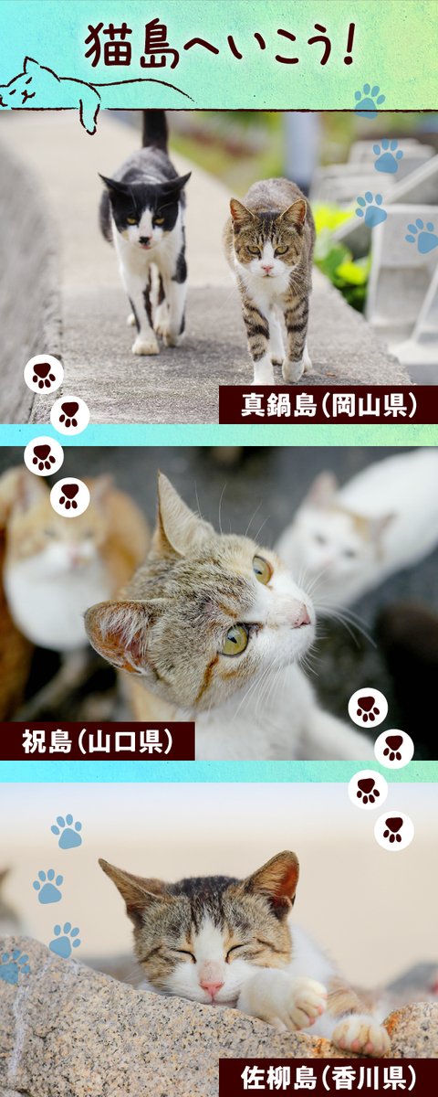 【公式】J-WESTカード tweet media