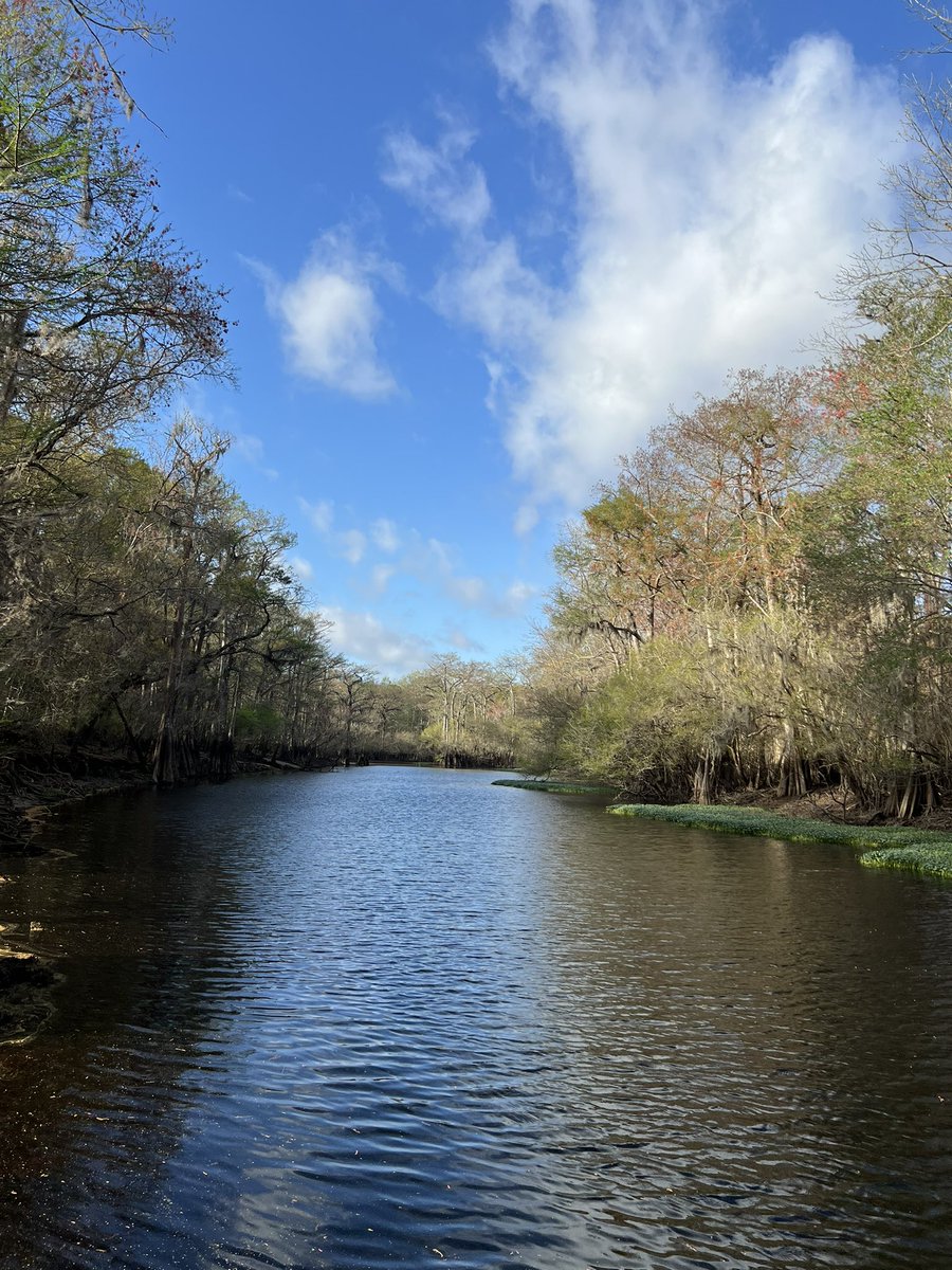 DR.K.S.RAVICHANDRAN tweet media