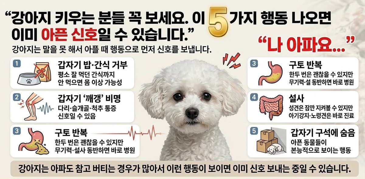 Halosunnyッ tweet media