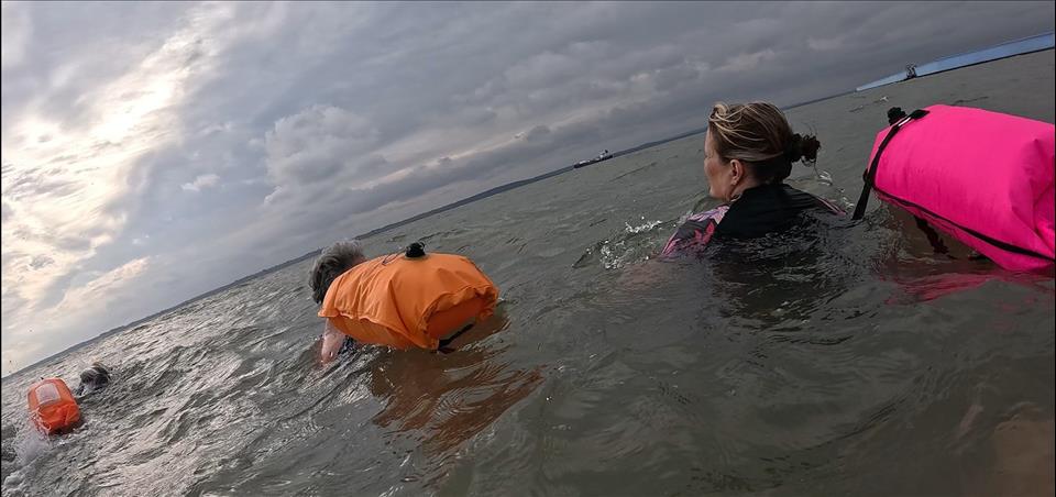 MENAFN's tweet image. Why We Keep Swimming In Polluted Waters Researchers #Keep #Swimming #Polluted #Waters #Researchers #Facebook #Twitter #Meta #Instagram #TikTok dlvr.it/TRSnMT