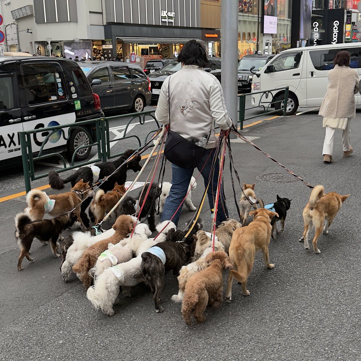 Cole Cameron tweet media