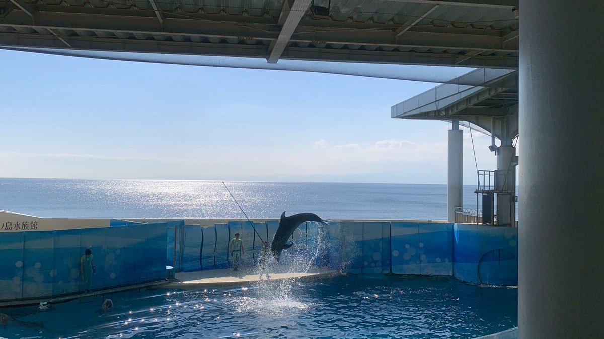 yui 16期around20CP🐰💫 tweet media