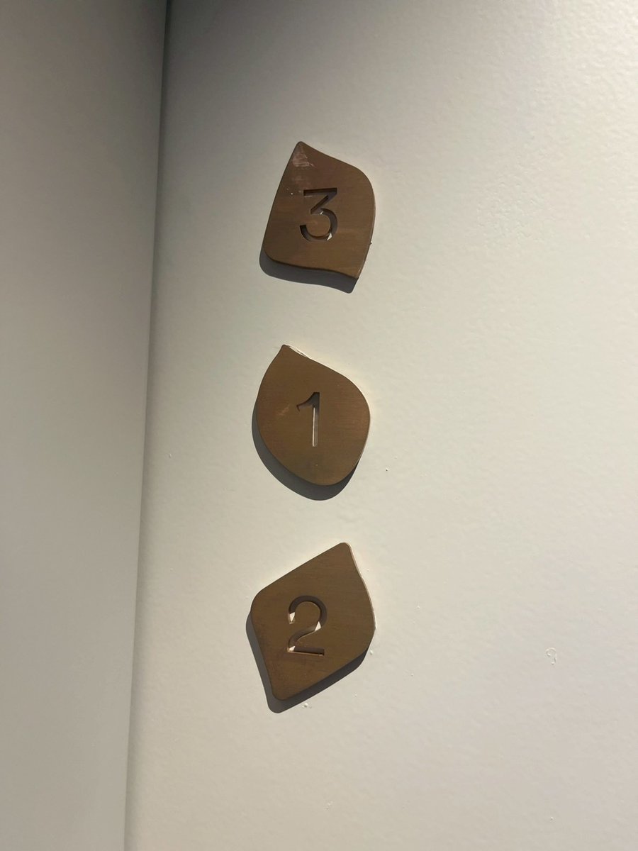 yui 16期around20CP🐰💫 tweet media