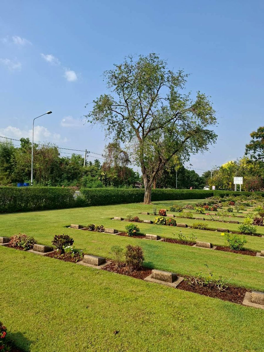 Mick Newbatt tweet media