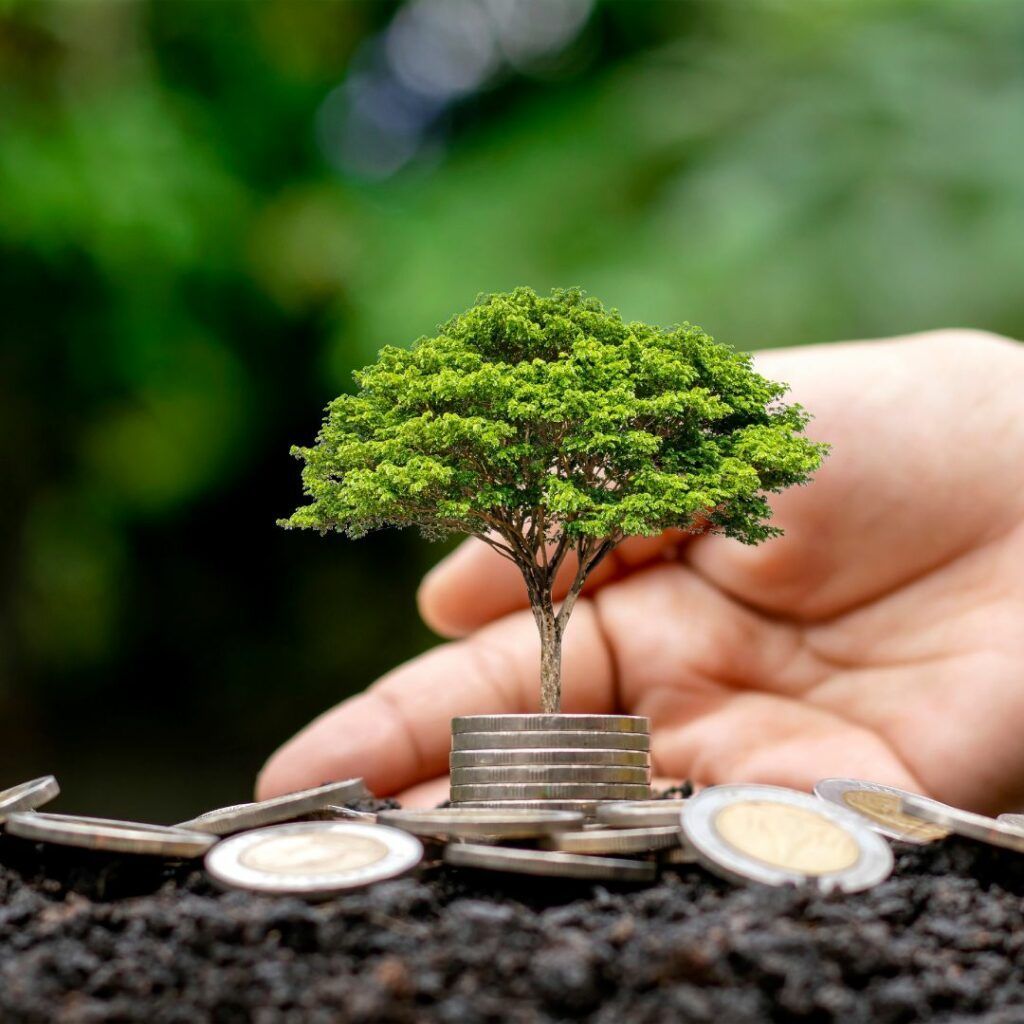 agroislas's tweet photo. New Post: INNOVACIÓN EN ECONOMÍA CIRCULAR https://t.co/J7bUo8og9g https://t.co/6DrAo7AXxr