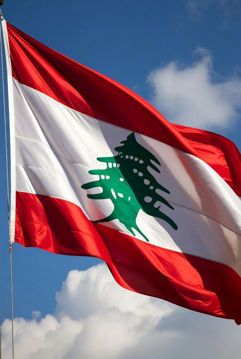 Rabih El-Amine tweet media