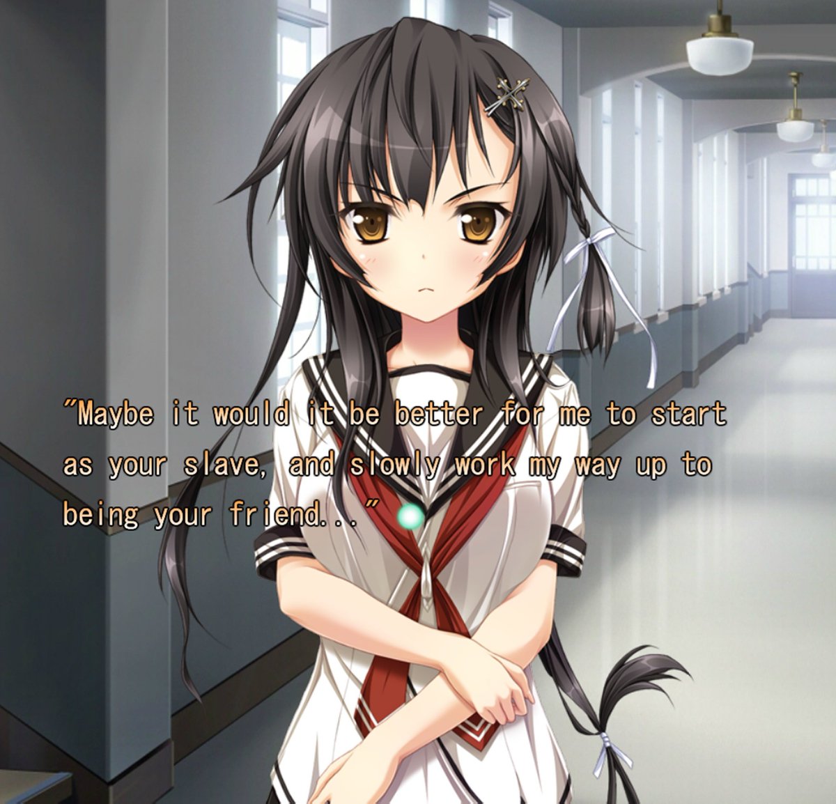 Aster アスター tweet media