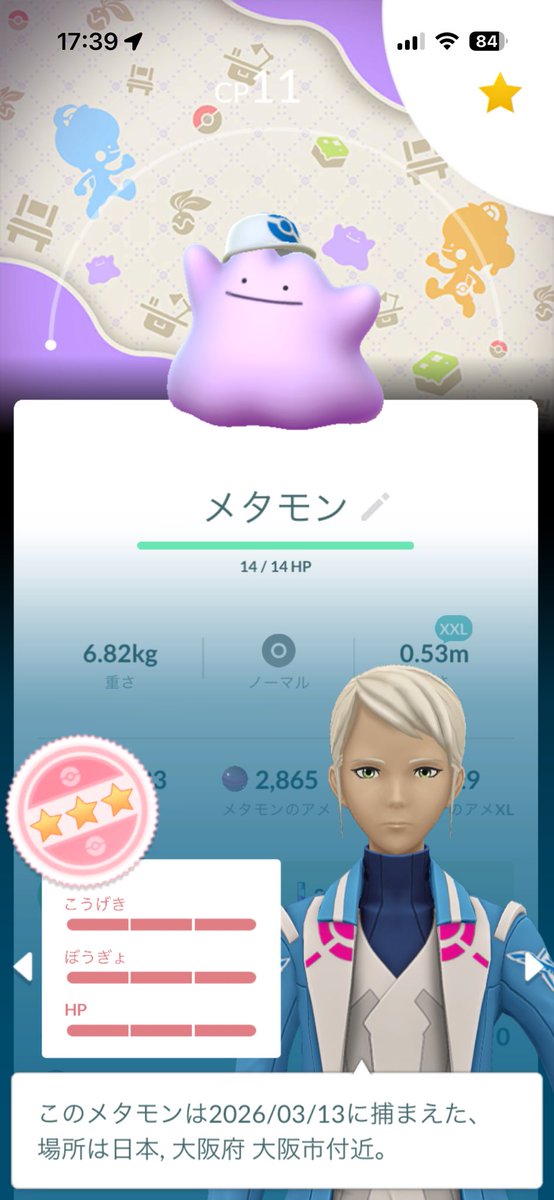 ローレルレゲイロ tweet media