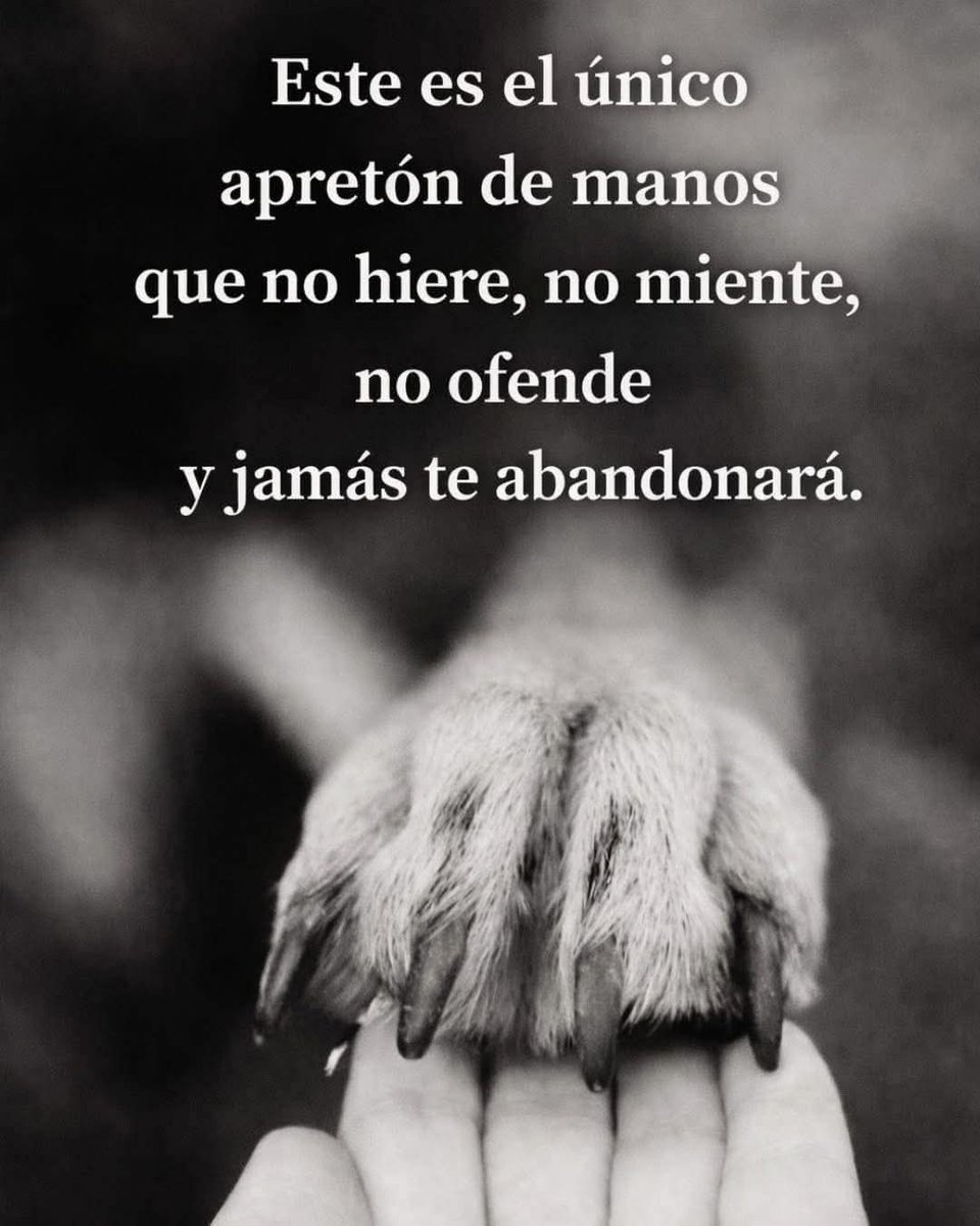 VidaEquilibrada (@vidaequilibrad4) on Twitter photo 