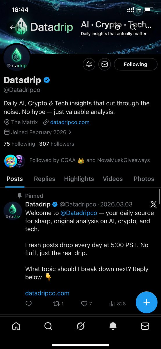 Sondor🦋 tweet media