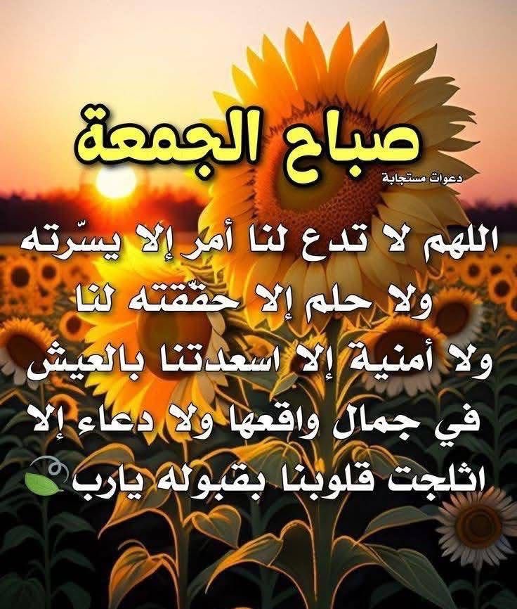 ابو فارس tweet media