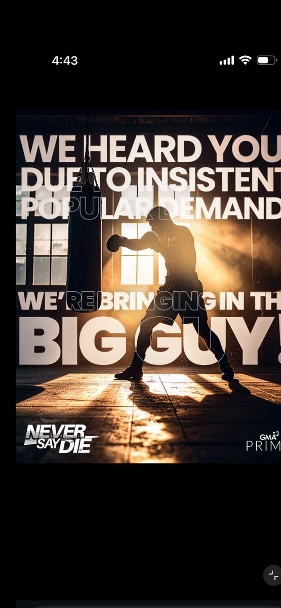 nitz a. miralles tweet media