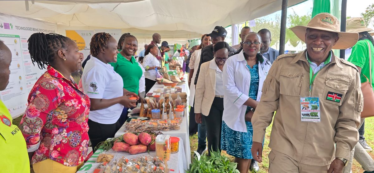 Taat_Africa's tweet photo. #TAAT  is showcasing climate-smart technologies at the #KilimoBiasharaExpo in Thika, #Kenya.

From improved seed systems to agribusiness innovations, #TAAT is helping scale solutions that strengthen food security across Africa.

#EngageTAAT to #FeedAfrica #EngageTAAT to #Scale4Impact

@AfDB_Group @gatesfoundation @GatesAfrica
@CGIAR @CGIARScaling @IITA_CGIAR  @isdb_group @giz_gmbh @ADB_HQ @kalromkulima @KilimoNews @Kalroseeds @aatfafrica @BiovIntCIAT_eng @ICARDA @Cipotato @IITAYOUTHAGRIP