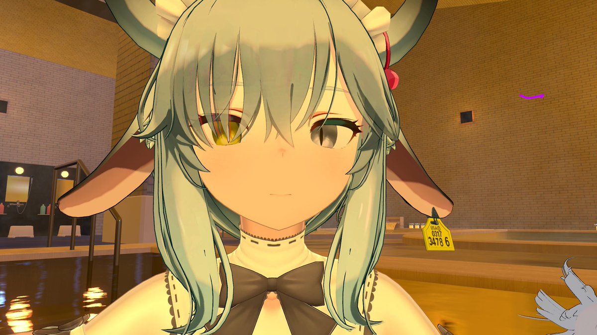 ２ねこ／2ndCat tweet media