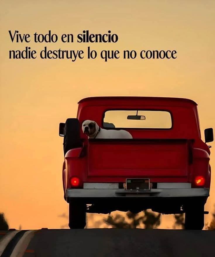 VidaEquilibrad4's tweet photo. https://t.co/mFJ9nvbPtO