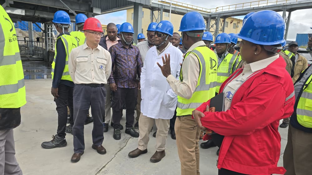 BIKITA(SINOMINE GROUP) tweet media