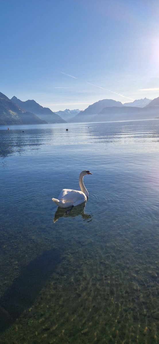 Hene Power tweet media