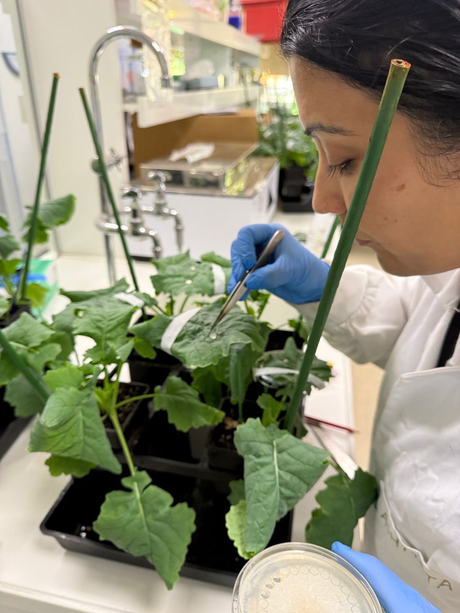 Sarita Bennett tweet media