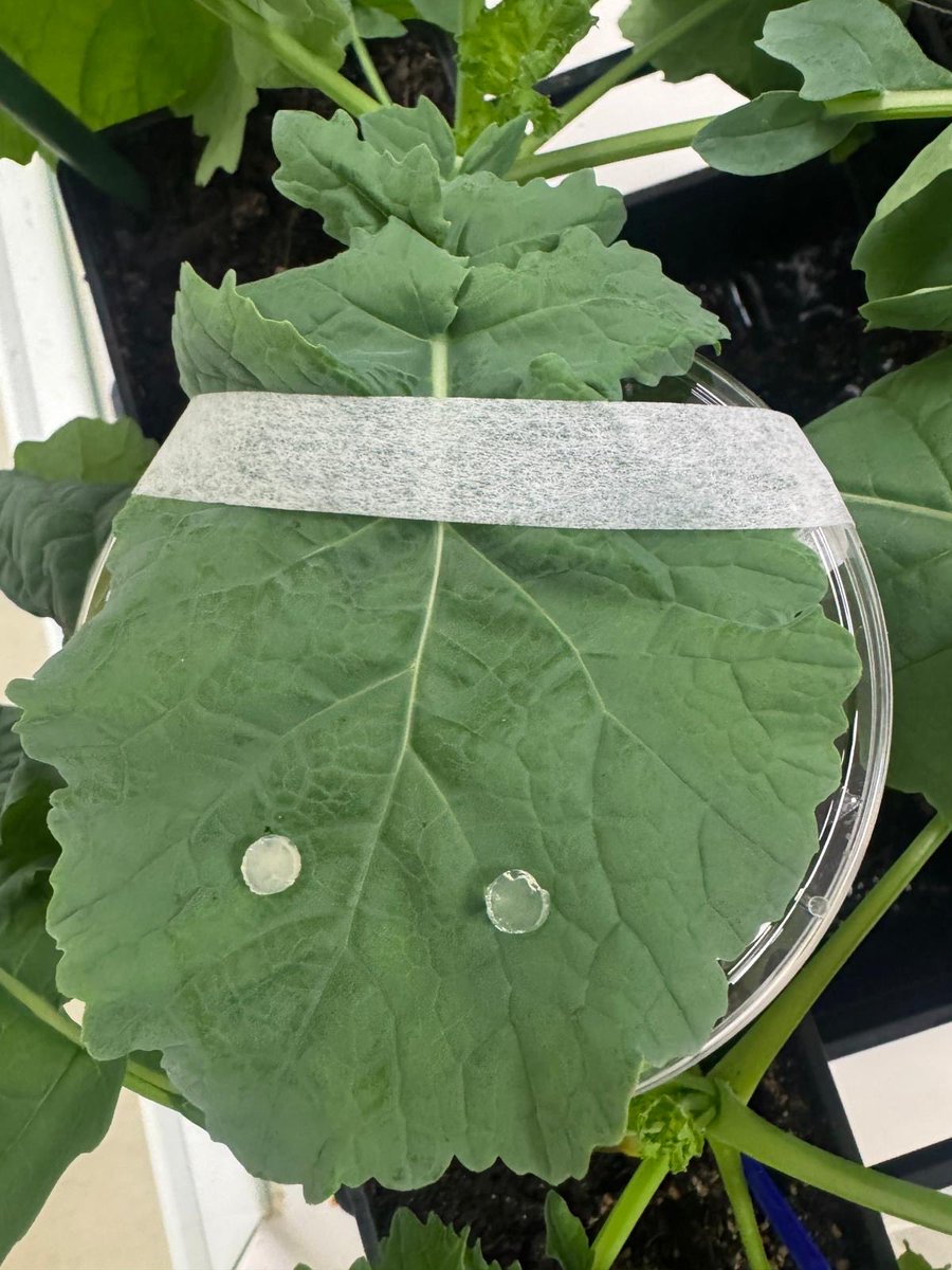 Sarita Bennett tweet media