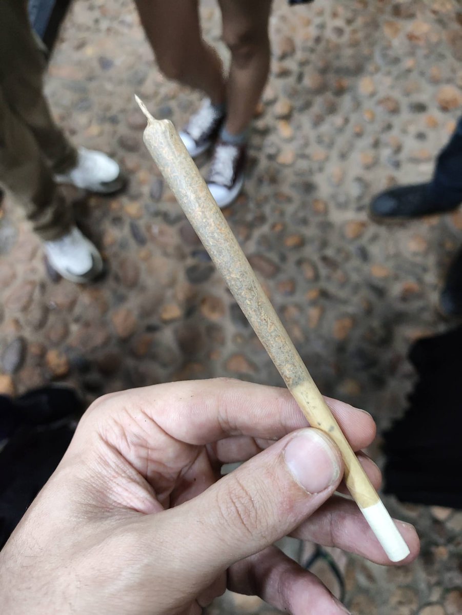 domineplay's tweet photo. @dantasbecker Prefiro bolar meu próprio cigarro, mas paiol, brancão e até cachimbo são melhores que fumar Pendrive... https://t.co/PgHsftXREL