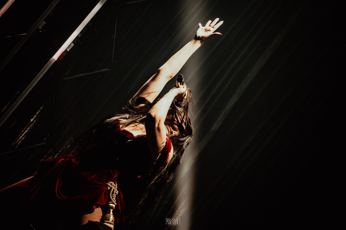 P H A E D R A tweet media