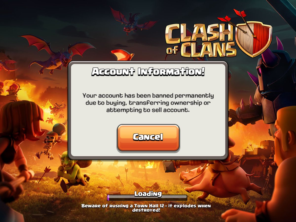 NaOki Avenue! tweet media