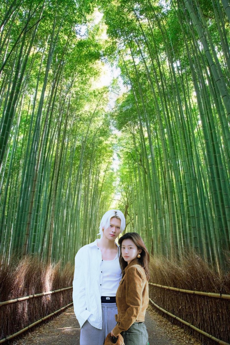 藤森、Ayaka. tweet media