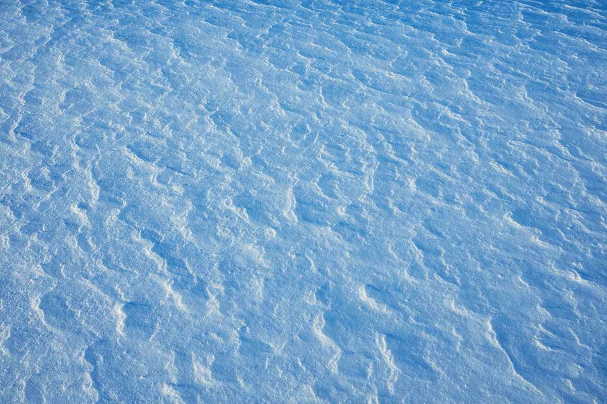 Sigmaの新しい15mm F1.4 DC | Contemporaryを持って雪道を散歩しました。
風が作る雪の模様を撮りました。

#Sigma15mmF14Contemporary