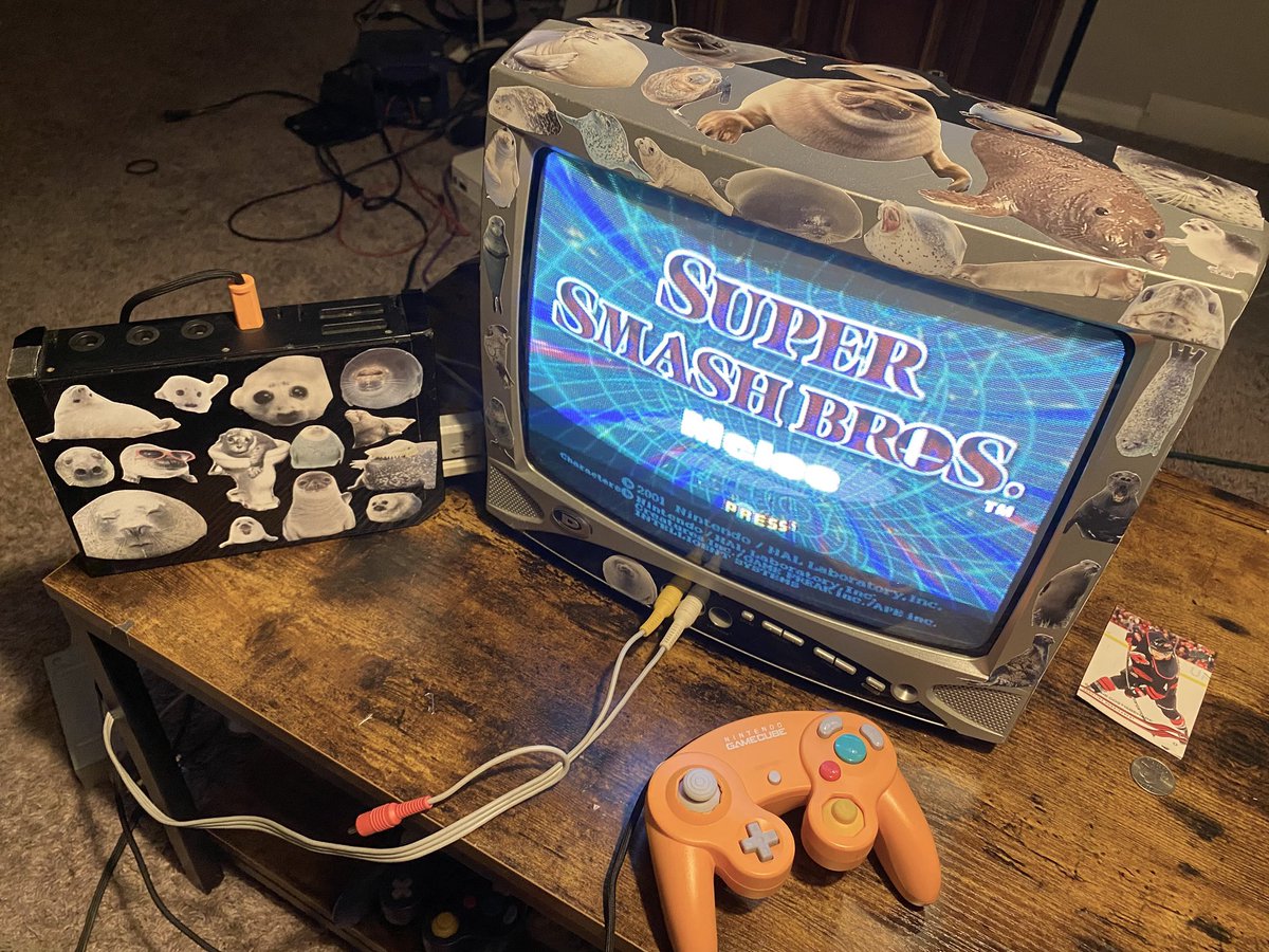 astrid 🦭 tweet media