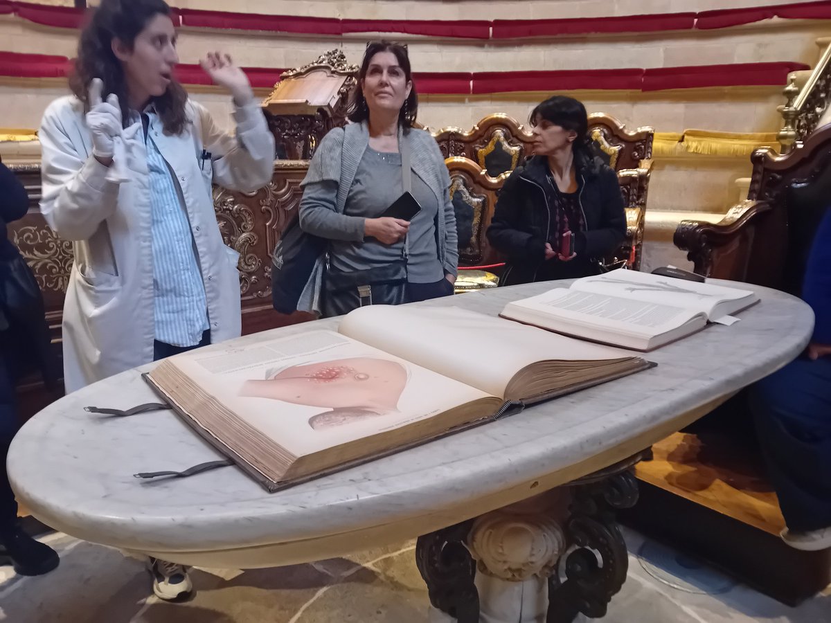 GT Documents Gràfics tweet media