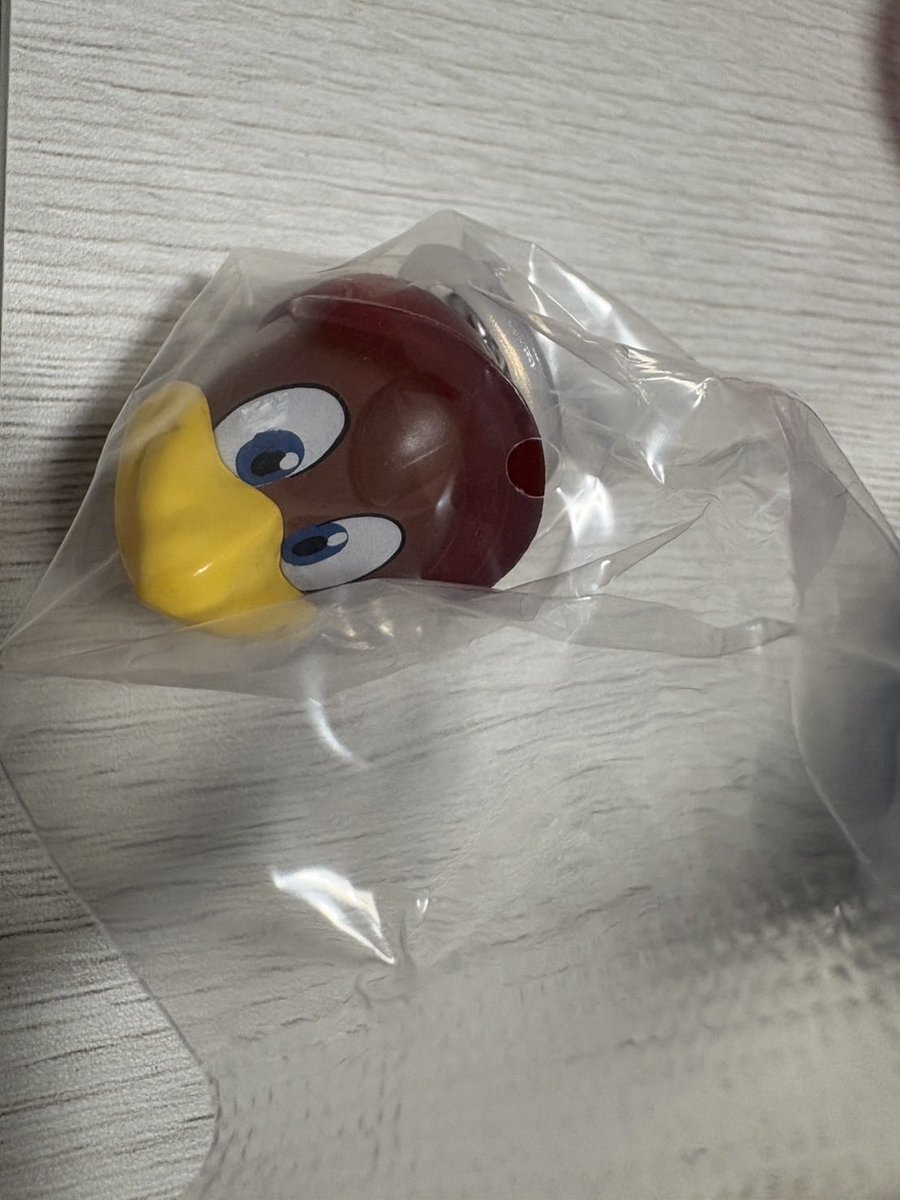 orry.ver2 tweet media