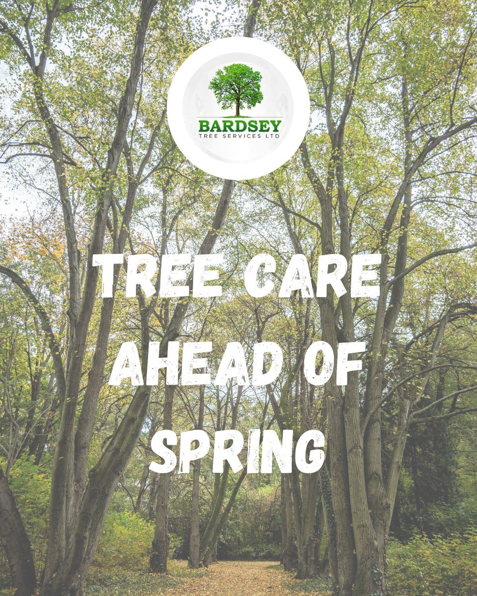 Bardsey Tree Services tweet media