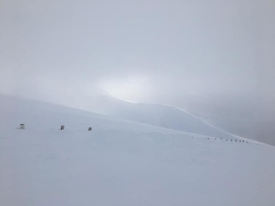 Linda Sinclair tweet media