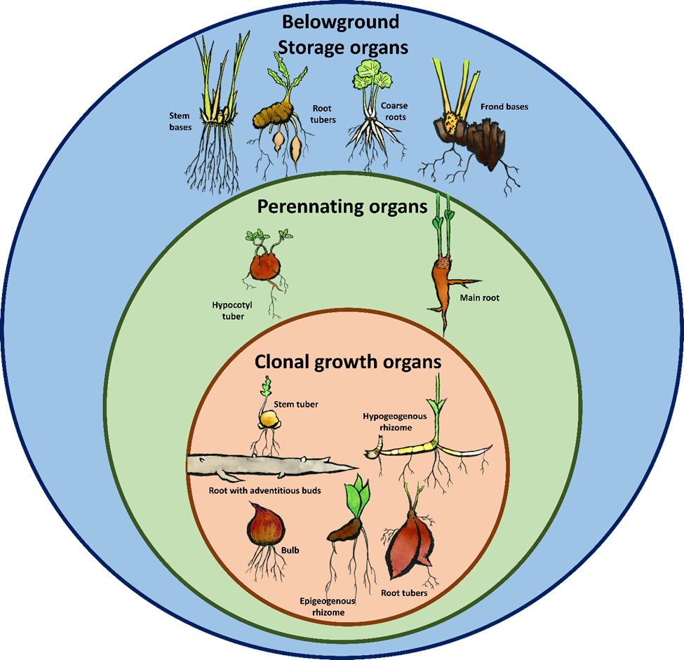 Go Belowground! tweet media