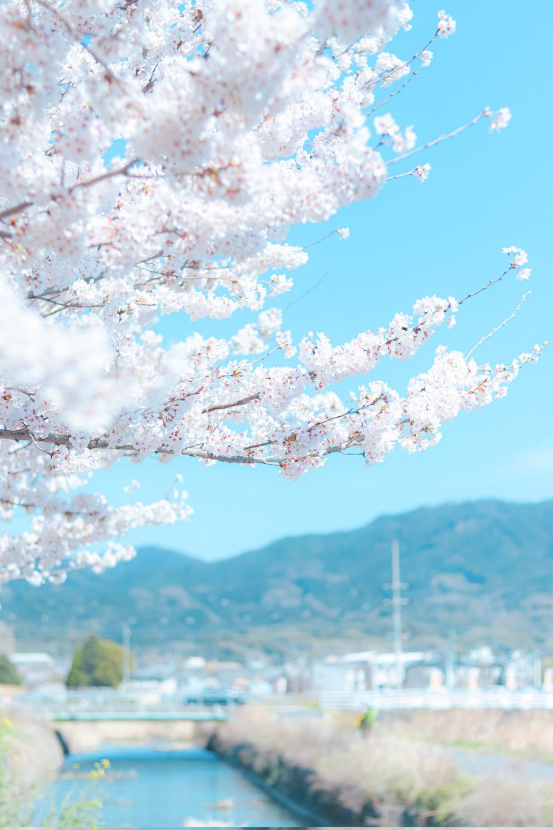 空に青。 tweet media