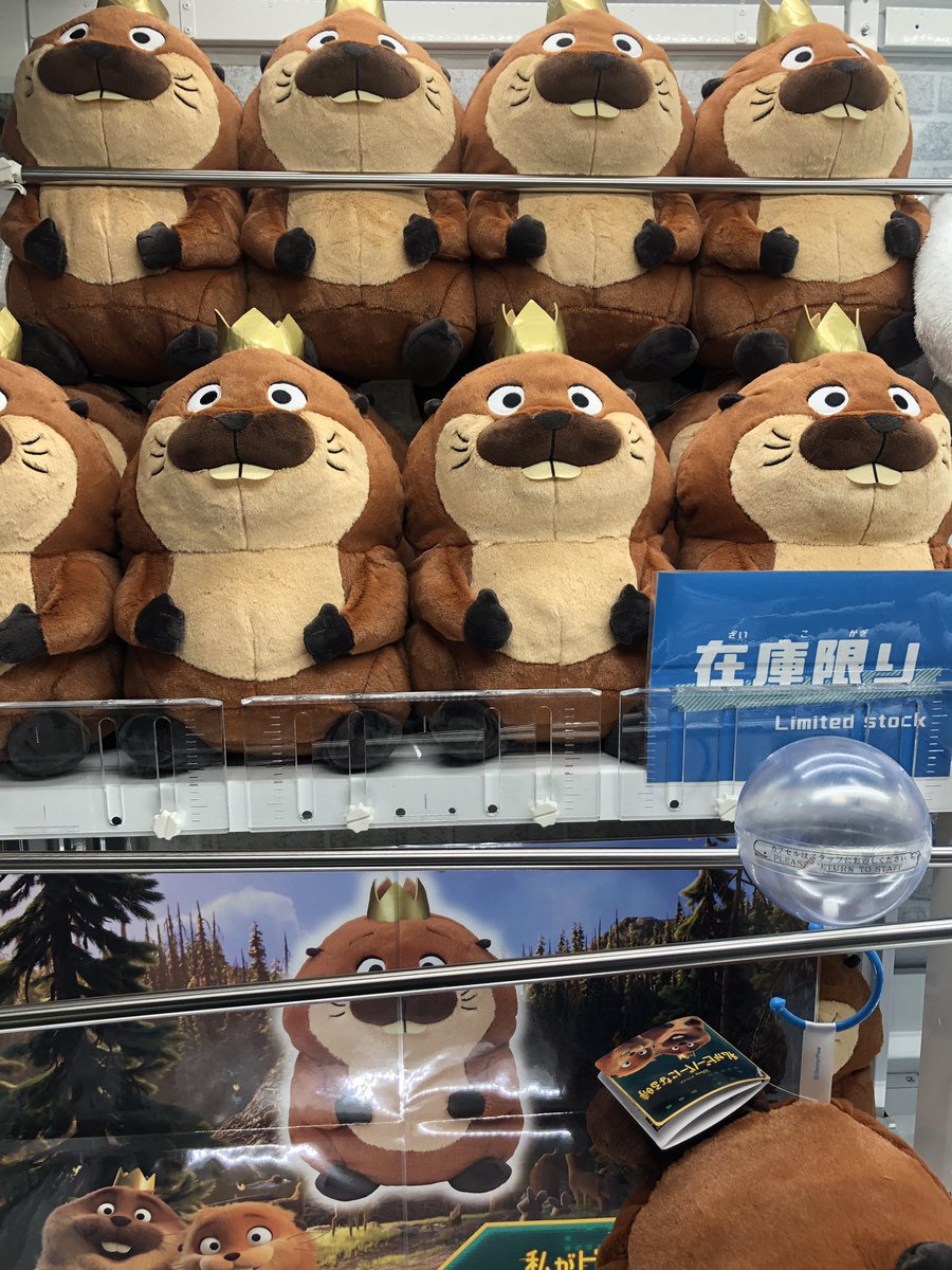 景品情報】2Fにて稼働中！ 🔸私がビーバーになる時 Lぬいぐるみ
