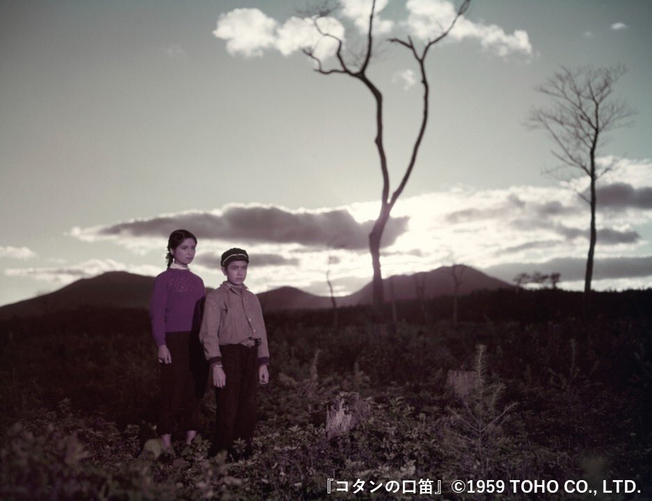 東宝名画座＋東宝クラシックス【公式】 tweet media